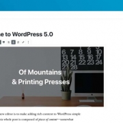 WordPress 5.0